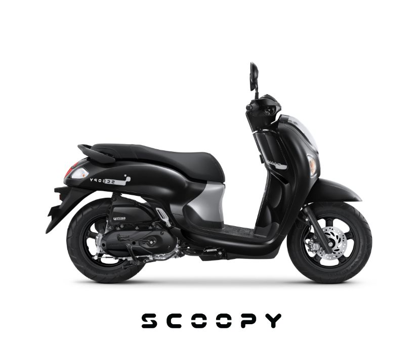 Honda Scoopy